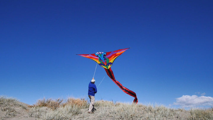 Hespeler Giant Dragon - Picture Pretty KitesHespeler Giant DragonSingle Line Kites;Single Line Kites/Specialty Kites;Brands/Premier KitesPR45917Picture Pretty KitesPR4591709143777Hespeler Giant Dragon