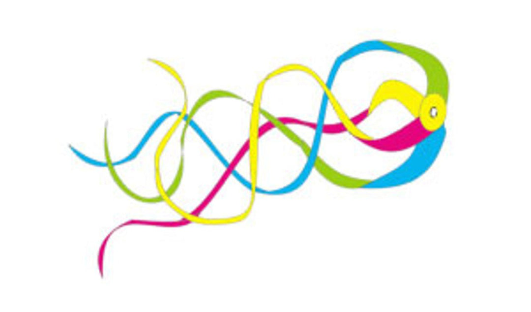 Hypno Twister - Picture Pretty KitesHypno TwisterKite Accessories/Kite Line Art;Brands/Premier KitesPicture Pretty Kites4430896122"NeonHypno Twister