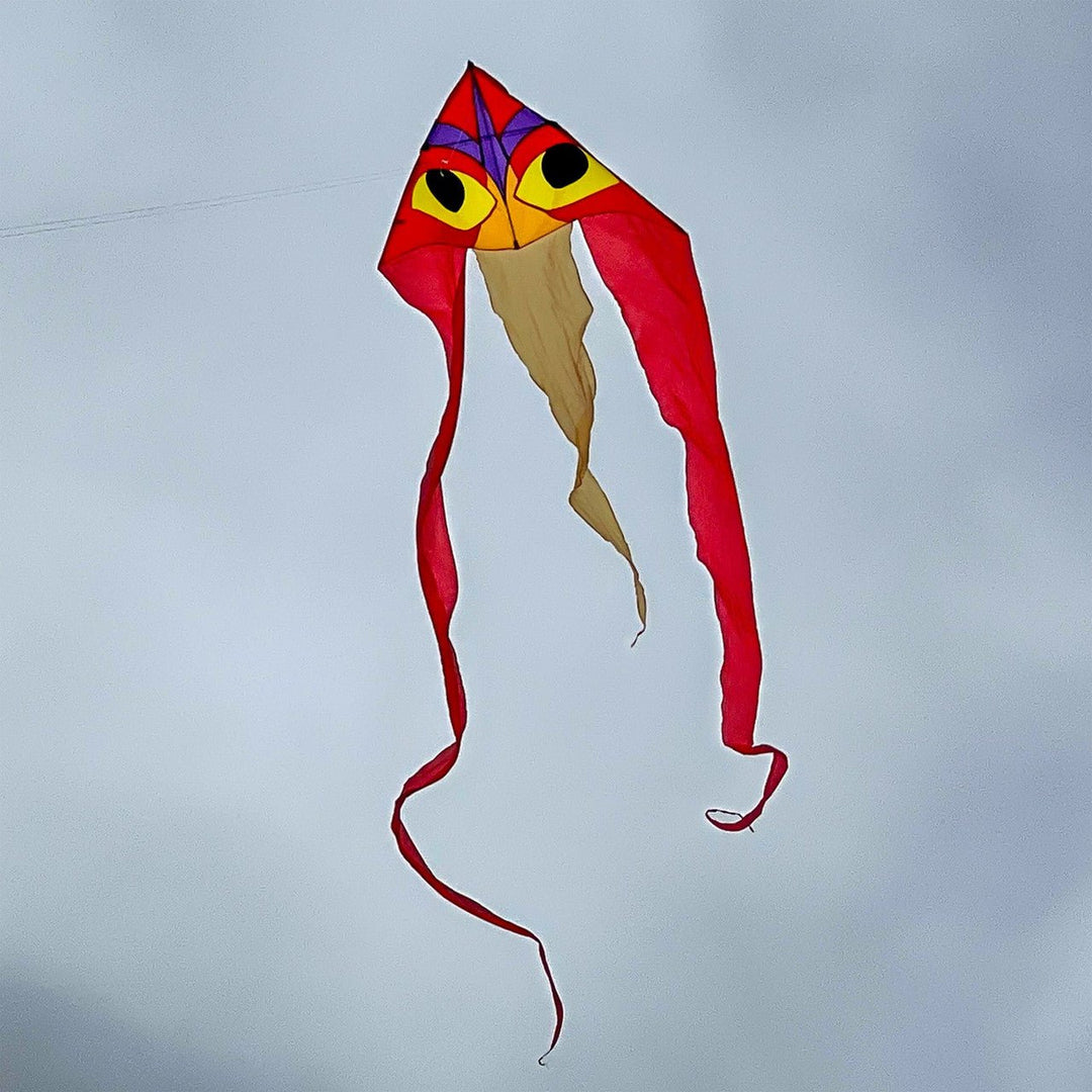 Ibis 52" Wave Delta Kite - Picture Pretty KitesIbis 52" Wave Delta KiteSingle Line Kites;Single Line Kites/Delta Kites;Brands/In The BreezeITB3152Picture Pretty KitesITB3152762379031527Ibis 52" Wave Delta Kite