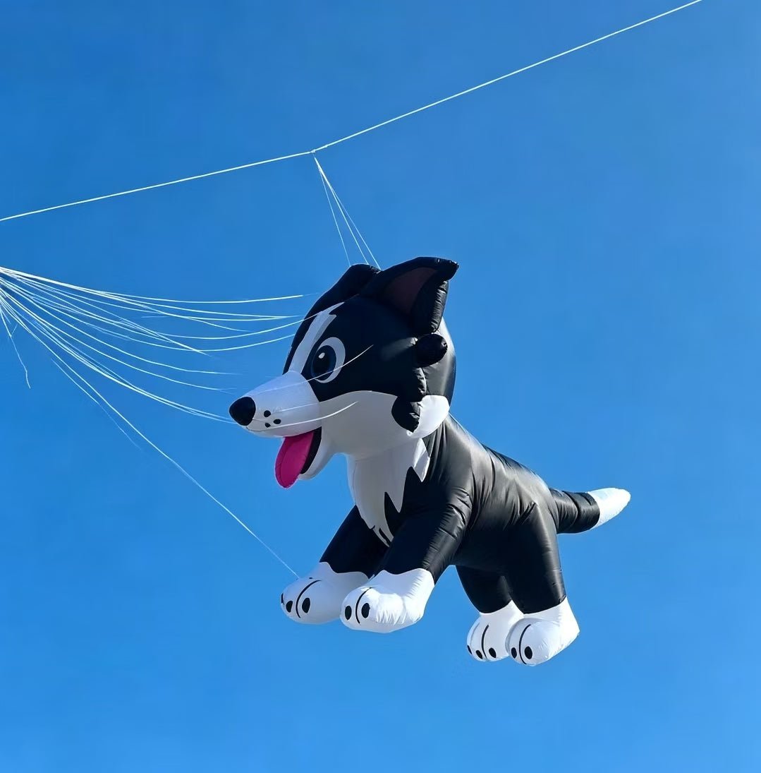 Inflatable 3.5 Dogs (3 colors ) - Picture Pretty KitesInflatable 3.5 Dogs (3 colors )Single Line Kites/Animal Kites;Single Line Kites/Specialty Kites/Inflatable KitesInflatable dog 3 color-3Picture Pretty KitesInflatable dog 3 color-3GrayInflatable 3.5 Dogs (3 colors )