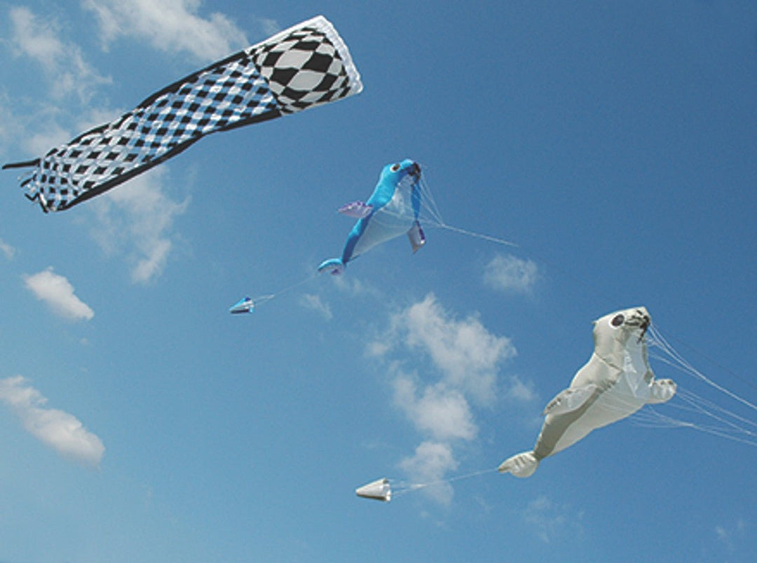 Inflatable - Baby White Seal - Picture Pretty KitesInflatable - Baby White SealGarden Art, windsocks, and wind spinners;Kite Accessories;Brands/Premier KitesPR45968Picture Pretty KitesPR4596854879969Inflatable - Baby White Seal
