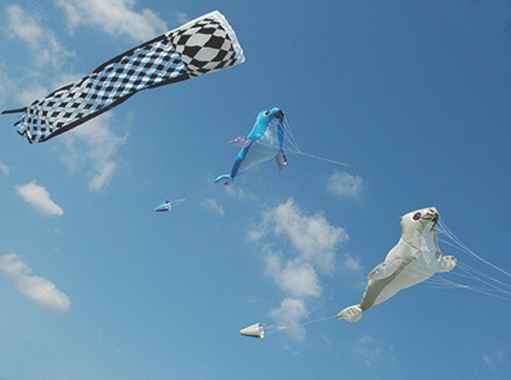 Inflatable - Baby White Seal - Picture Pretty KitesInflatable - Baby White SealGarden Art, windsocks, and wind spinners;Kite Accessories;Brands/Premier KitesPR45968Picture Pretty KitesPR4596854879969Inflatable - Baby White Seal