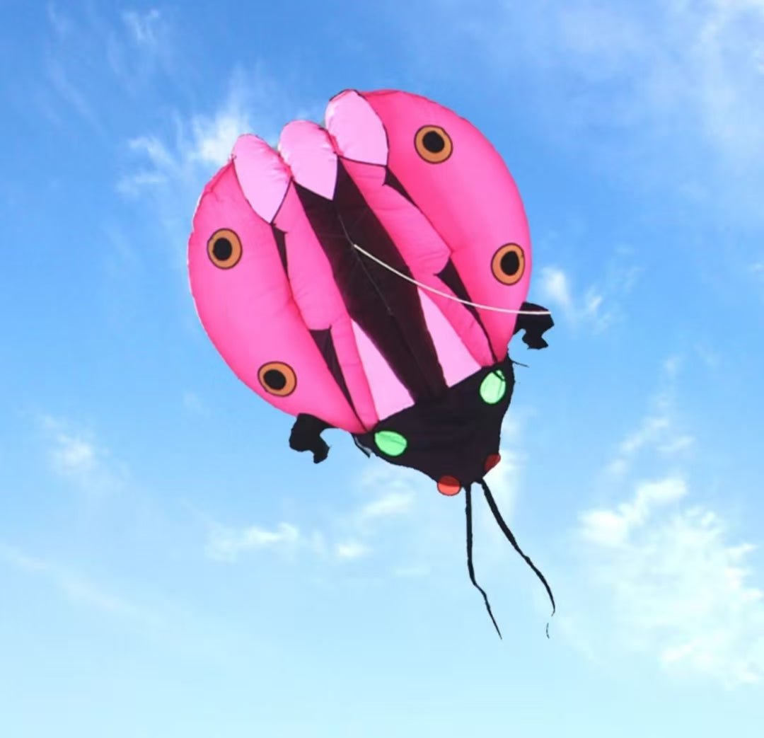 Inflatable Ladybug - Picture Pretty KitesInflatable LadybugSingle Line Kites/Animal Kites;Single Line Kites/Specialty Kites/Inflatable KitesPicture Pretty KitesPinkInflatable Ladybug