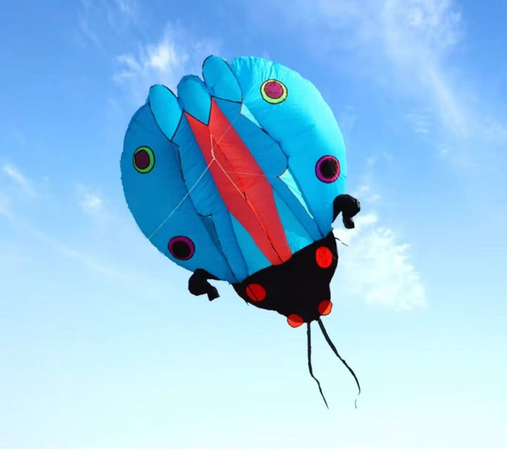 Inflatable Ladybug - Picture Pretty KitesInflatable LadybugSingle Line Kites/Animal Kites;Single Line Kites/Specialty Kites/Inflatable KitesPicture Pretty KitesBlueInflatable Ladybug