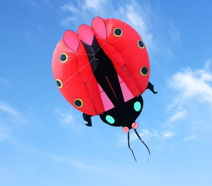 Inflatable Ladybug - Picture Pretty KitesInflatable LadybugSingle Line Kites/Animal Kites;Single Line Kites/Specialty Kites/Inflatable KitesRedPicture Pretty KitesRed60909281RedInflatable Ladybug