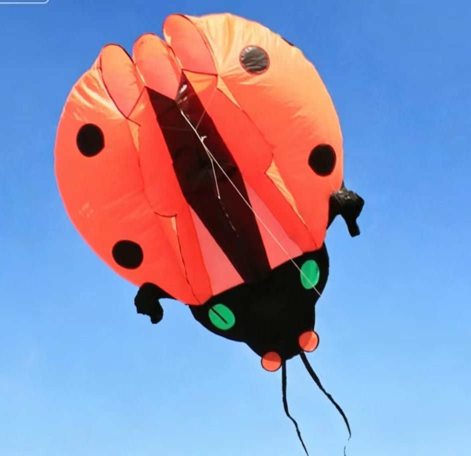 Inflatable Ladybug - Picture Pretty KitesInflatable LadybugSingle Line Kites/Animal Kites;Single Line Kites/Specialty Kites/Inflatable KitesOrangePicture Pretty KitesOrange07898849OrangeInflatable Ladybug