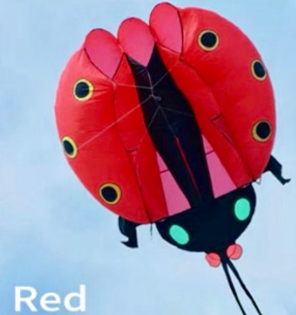 Inflatable Ladybug - Picture Pretty KitesInflatable LadybugSingle Line Kites/Animal Kites;Single Line Kites/Specialty Kites/Inflatable KitesRedPicture Pretty KitesRed60909281RedInflatable Ladybug