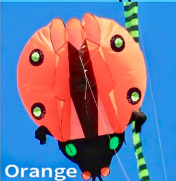 Inflatable Ladybug - Picture Pretty KitesInflatable LadybugSingle Line Kites/Animal Kites;Single Line Kites/Specialty Kites/Inflatable KitesOrangePicture Pretty KitesOrange07898849OrangeInflatable Ladybug