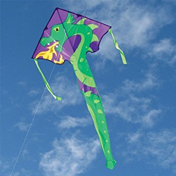 Large Easy Flyer (Skylar Dragon) - Picture Pretty KitesLarge Easy Flyer (Skylar Dragon)Single Line Kites;Single Line Kites/Easy Flyer Kites;Starter Kites;Brands/Premier KitesPR44134 /A7Picture Pretty KitesPR44134 /A7630104441340Large Easy Flyer (Skylar Dragon)