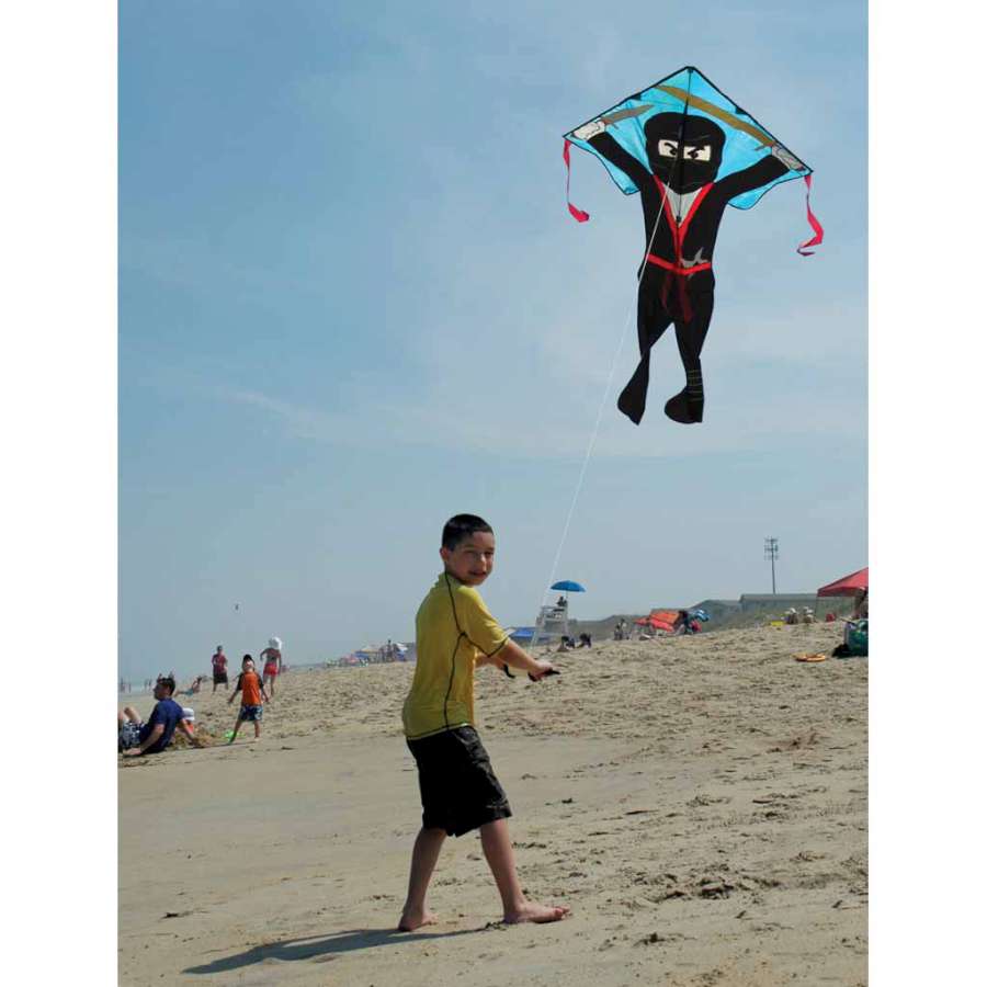 Lg. Easy Flyer Kite - Flying Ninja - Picture Pretty KitesLg. Easy Flyer Kite - Flying NinjaSingle Line Kites;Single Line Kites/Easy Flyer Kites;Starter Kites;Brands/Premier KitesPR44196 / A18Picture Pretty KitesPR44196 / A18Lg. Easy Flyer Kite - Flying Ninja