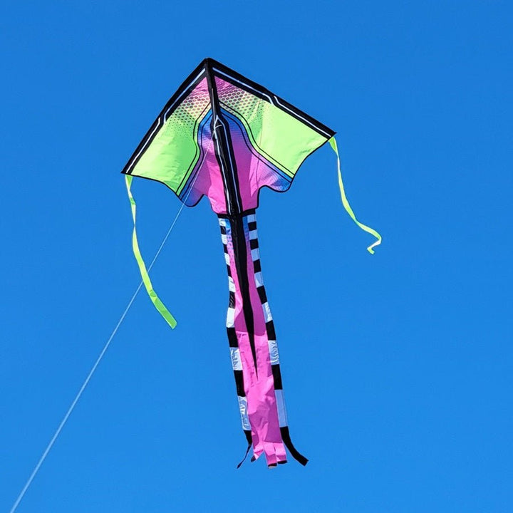 Lg. Easy Flyer Kite - Tropical Neontech - Picture Pretty KitesLg. Easy Flyer Kite - Tropical NeontechSingle Line Kites;Single Line Kites/Delta Kites;Brands/Premier KitesPR44512 / A1Picture Pretty KitesPR44512 / A177871841Lg. Easy Flyer Kite - Tropical Neontech
