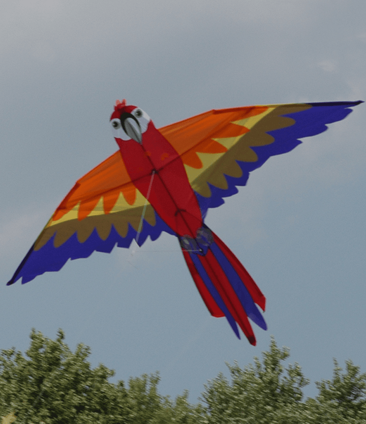 Macaw - Picture Pretty KitesMacawSingle Line Kites;Single Line Kites/Animal Kites;Single Line Kites/Animal Kites/Bird Kites;Brands/Premier KitesPR44932 /B16Picture Pretty KitesPR44932 /B16630104449322Macaw