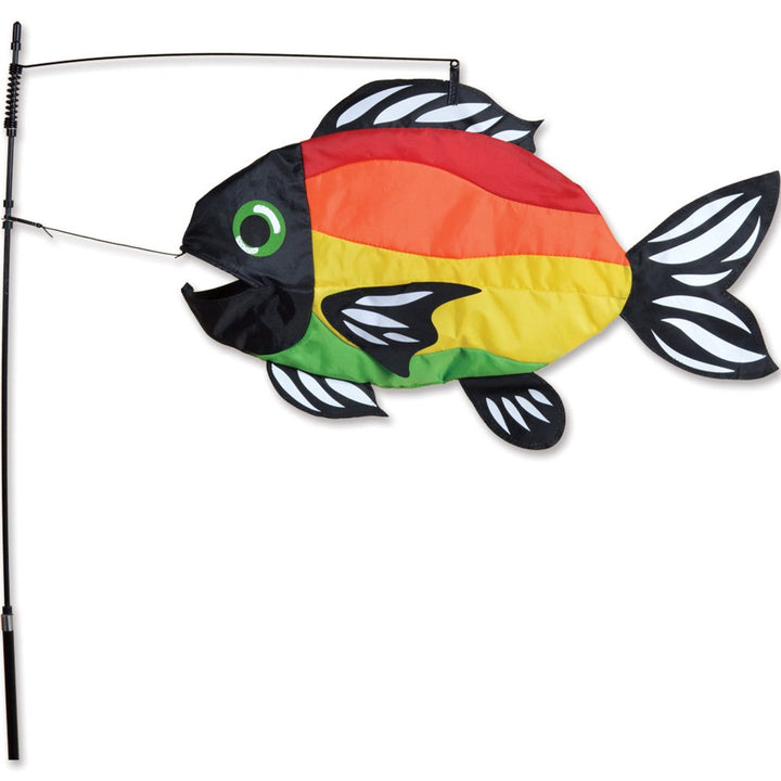 Swimming Fish - Bright Rainbow Fish