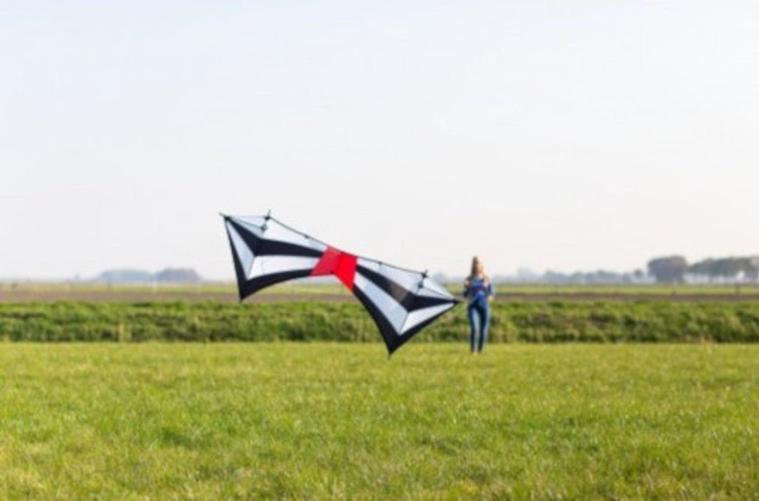 Meteor Quad Line - Picture Pretty KitesMeteor Quad LineStunt Kites;Stunt Kites/Quad Line Kites;Brands/HQ Kites;Featured Products;Featured Products/Featured ProductsHQ119392 /D28Picture Pretty KitesHQ119392 /D2814353889Meteor Quad Line