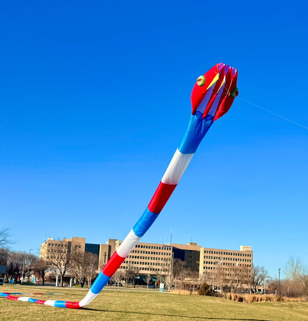 New 180' Inflatable Patriotic Snake - Picture Pretty KitesNew 180' Inflatable Patriotic SnakeSingle Line Kites/Specialty Kites;Single Line Kites/Specialty Kites/Inflatable Kites55m Inflatable Snake Kite - PatrioticPicture Pretty Kites55m Inflatable Snake Kite - Patriotic44438497New 180' Inflatable Patriotic Snake