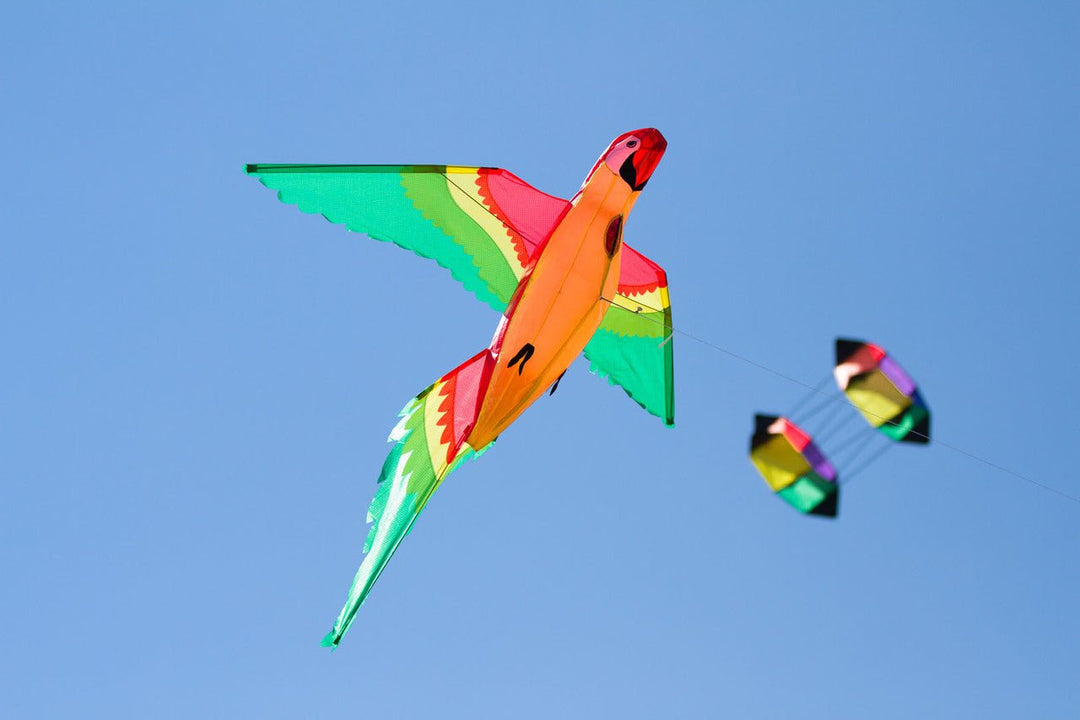 Parrot 3D - Picture Pretty KitesParrot 3DSingle Line Kites;Single Line Kites/Animal Kites;Single Line Kites/Animal Kites/Bird Kites;Brands/HQ KitesHQ106514 /C21Picture Pretty KitesHQ106514 /C2169363425Parrot 3D