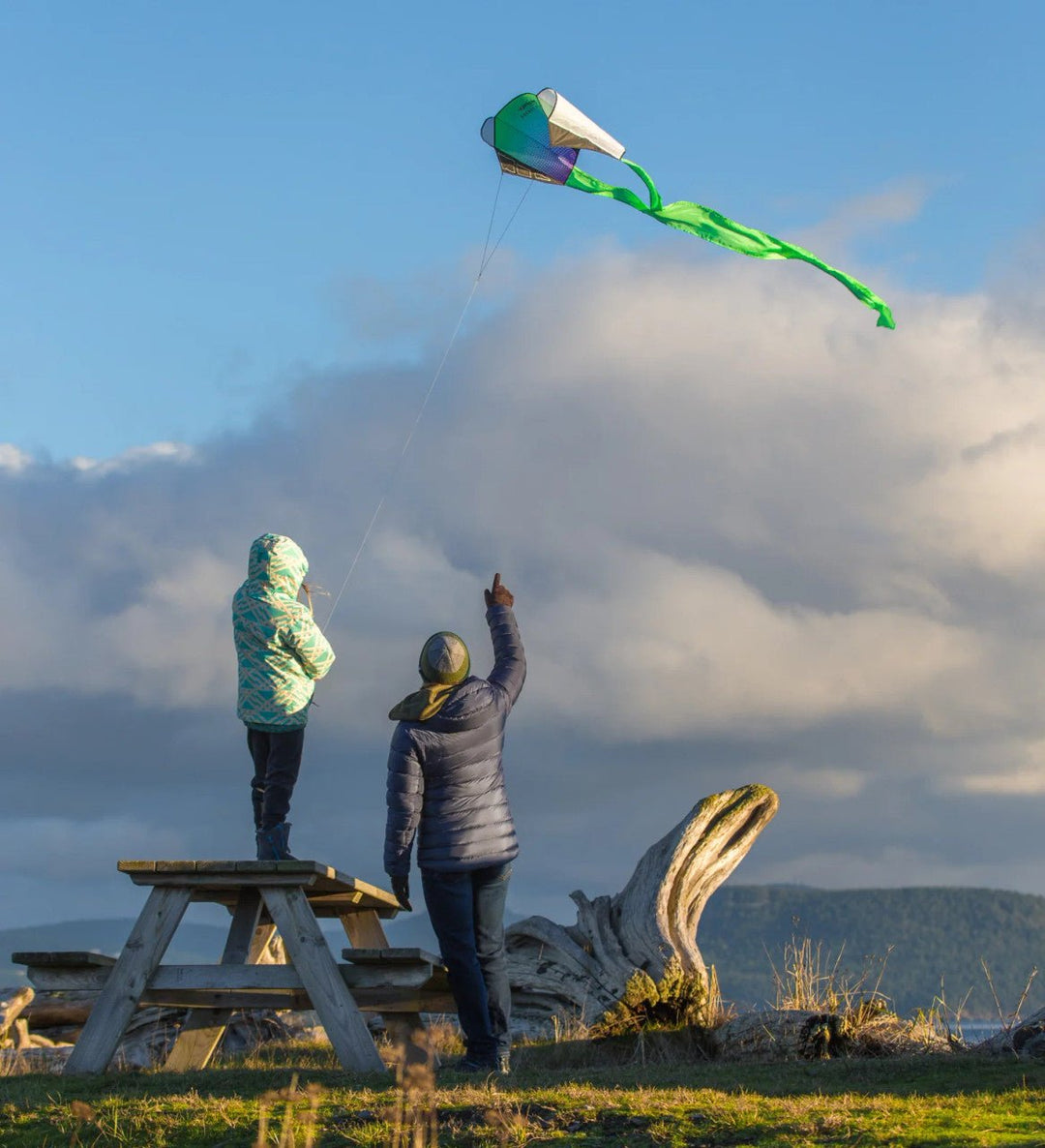 Pocket Flyer - Picture Pretty KitesPocket FlyerSingle Line Kites;Starter KitesUltravioletPicture Pretty KitesUltraviolet753677297142UltravioletPocket Flyer
