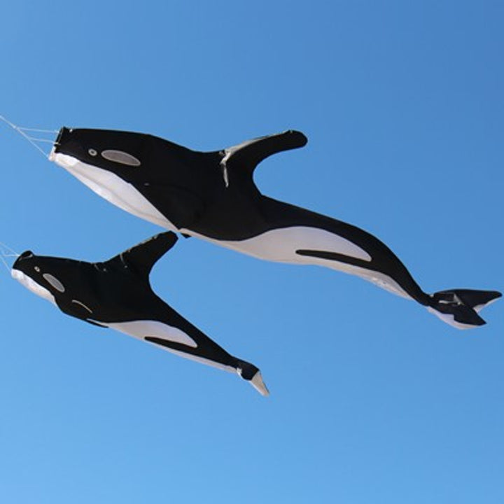 54" 3D Orca Windsock