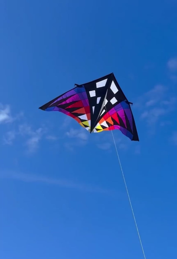 Sweet 16 Delta Kite  3 colors