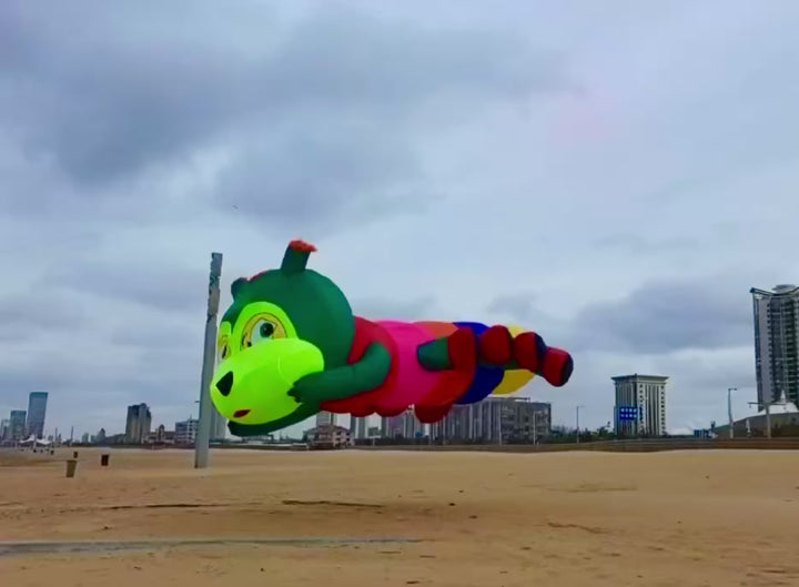 6m Inflatable Caterpillar
