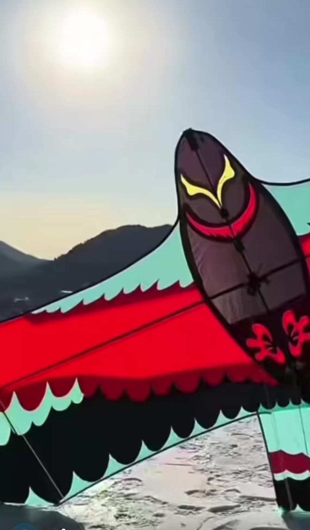 Large Red Eagle