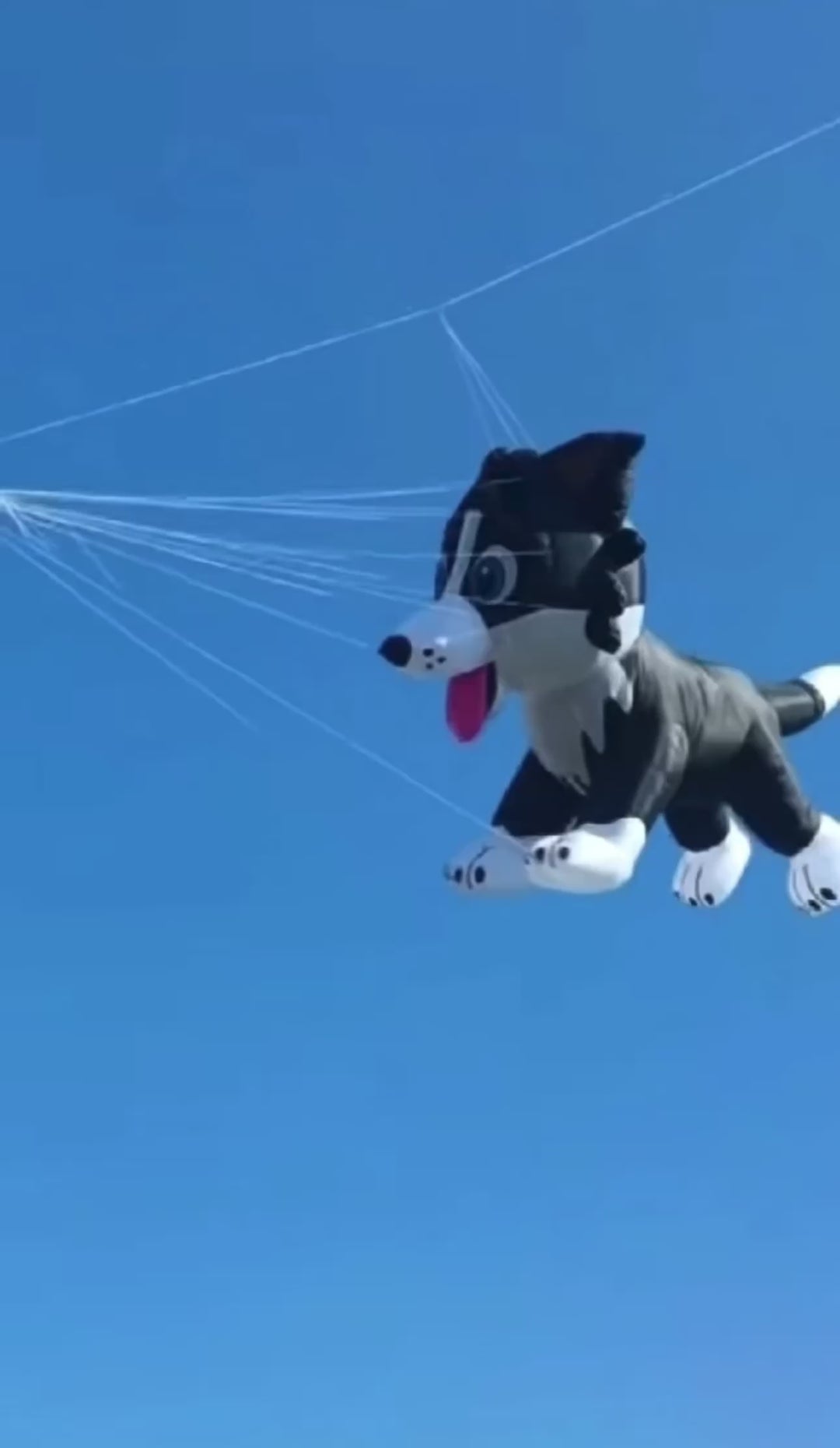 Inflatable 3.5 Dogs  (3 colors )