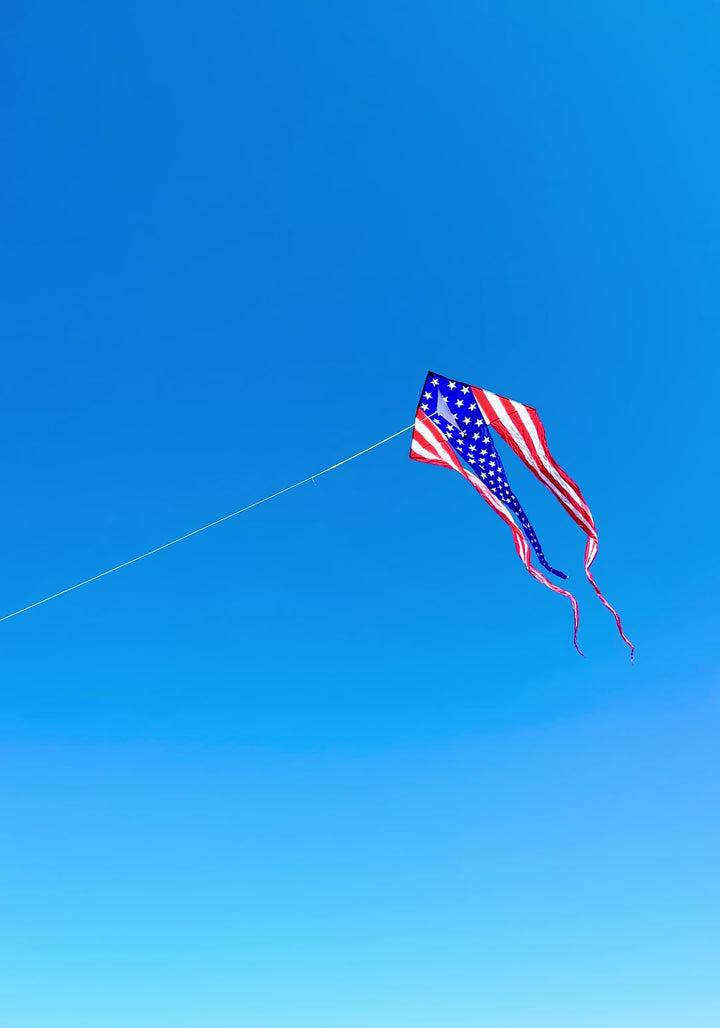 46 in. Flo-Train Delta Kite - Patriotic (Single Kite)