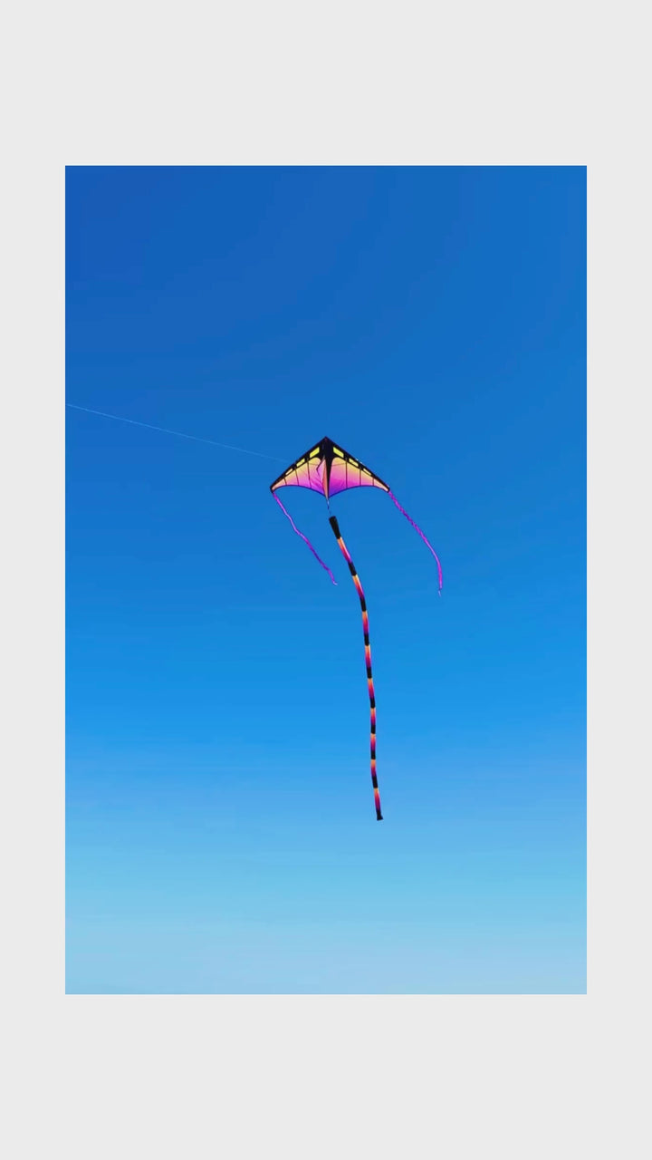 5 Ft. Zenith Delta