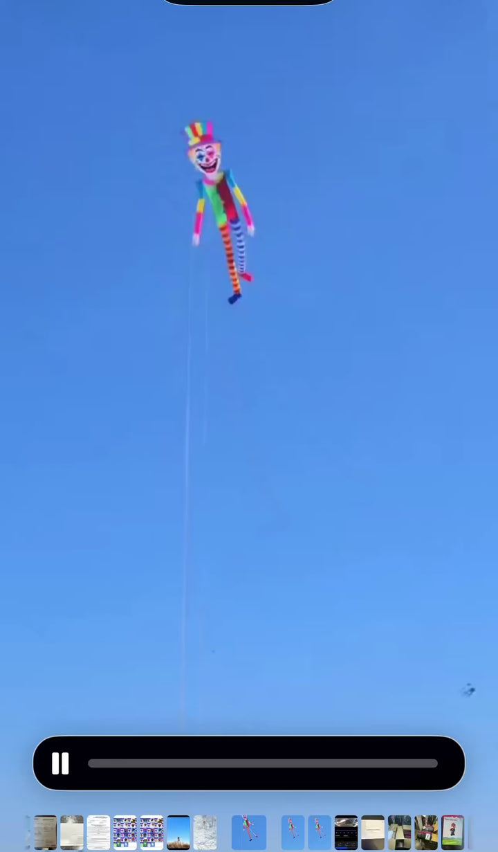 32' unique character kites
