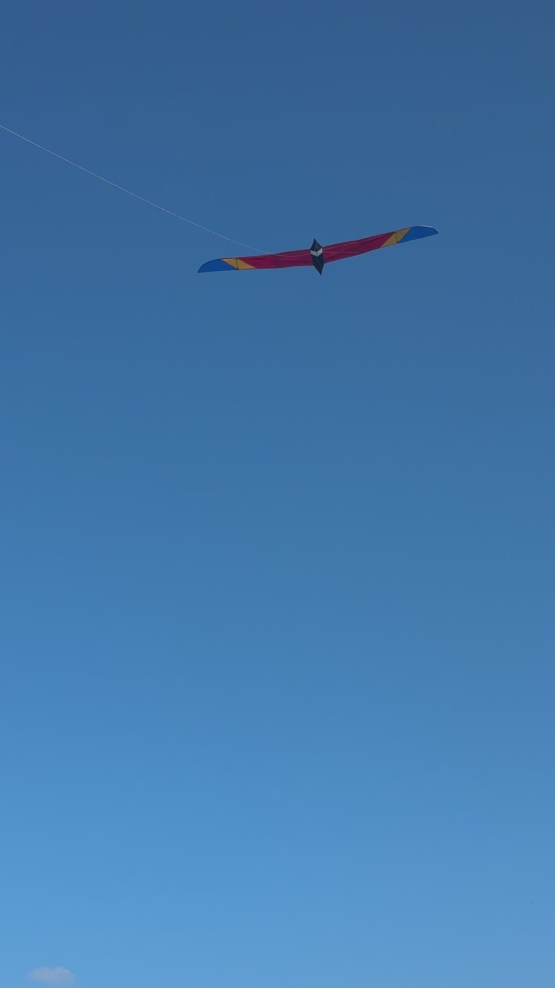 5.6M Long Bird