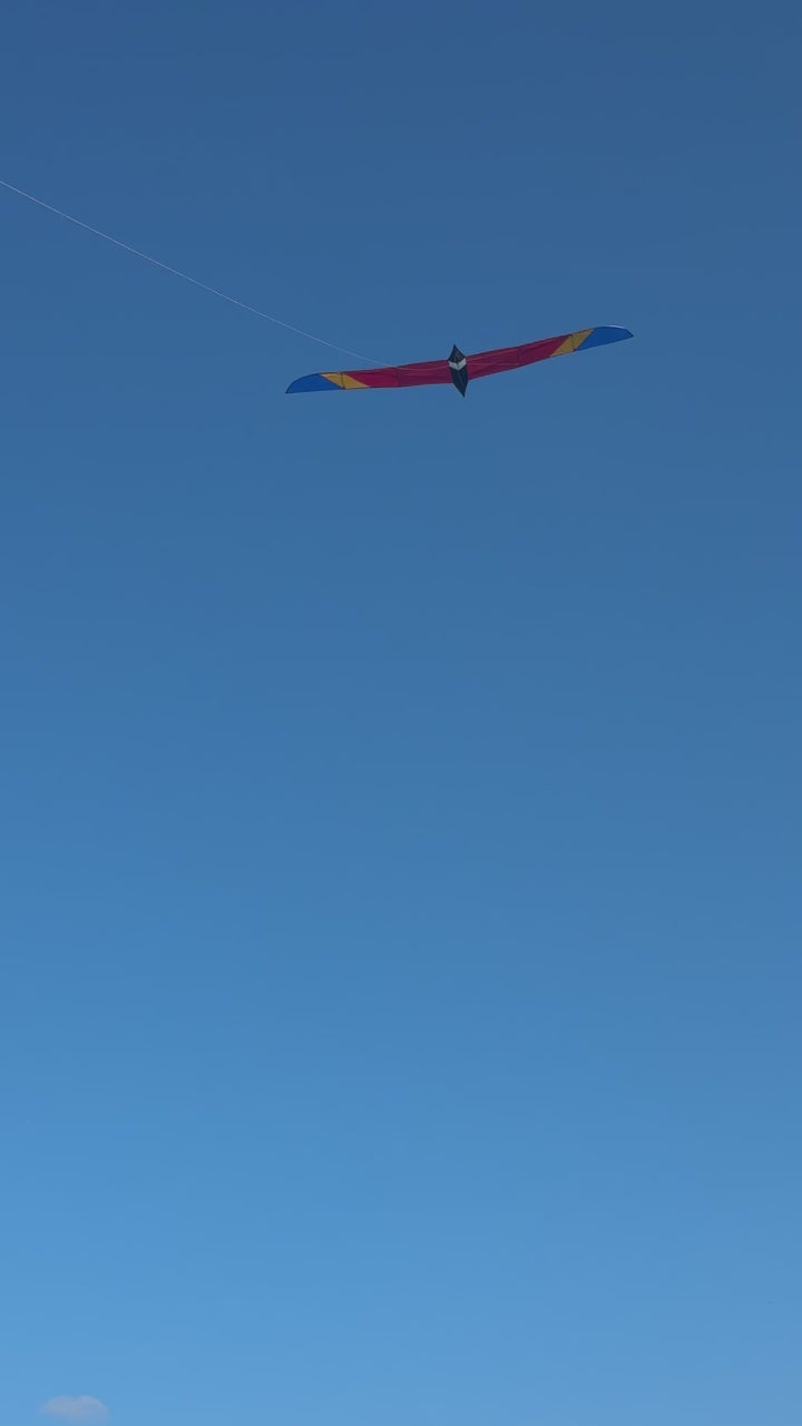 5.6M Long Bird