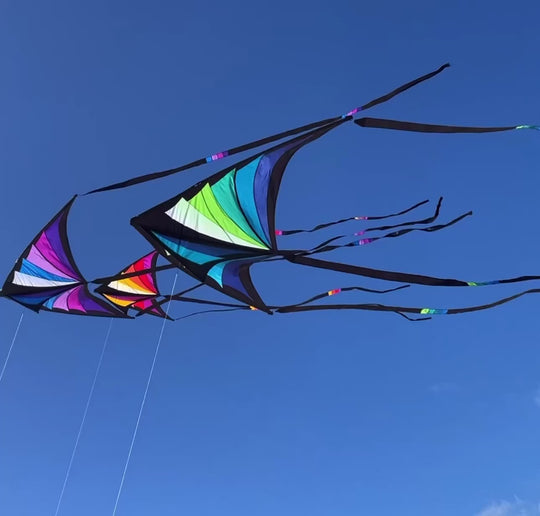 Brasington Designs – Picture Pretty Kites