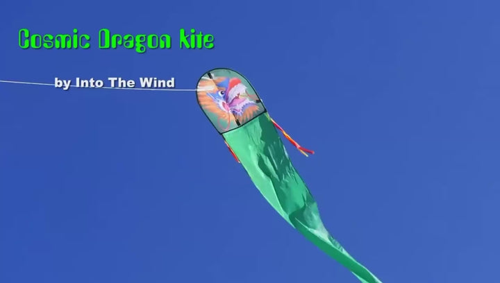 Fung Jung Cosmic Dragon Kite