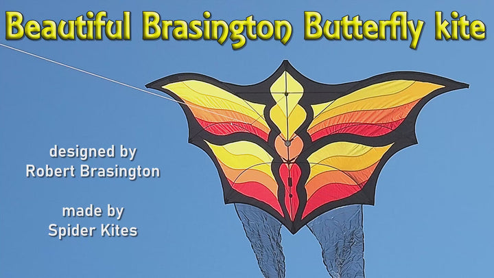Brasington Butterfly