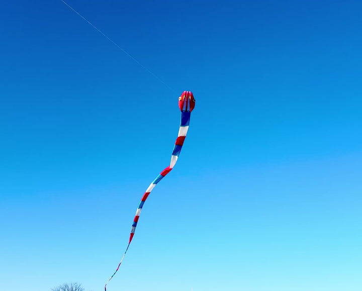 New 180' Inflatable Patriotic Snake