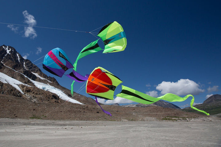 Prism Bora 5 - Picture Pretty KitesPrism Bora 5Single Line Kites;Single Line Kites/Parafoil Kites and Sled Kites;Starter Kites;Brands/Prism Kites5BoraJPicture Pretty Kites5BoraJ07112161JadePrism Bora 5