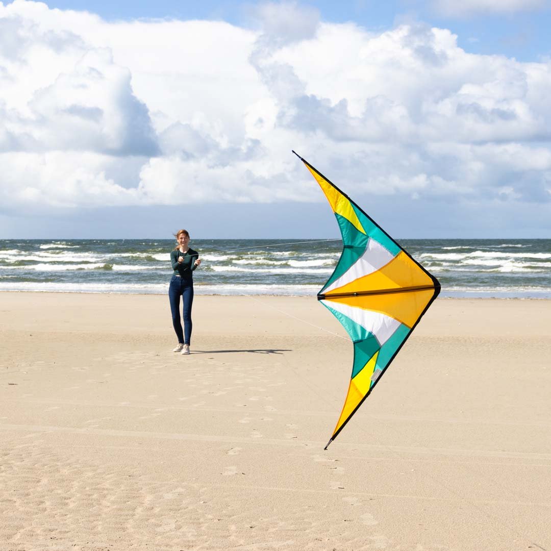 QUICKSTEP II BLOSSOM - Picture Pretty KitesQUICKSTEP II BLOSSOMStunt Kites;Stunt Kites/Beginner Kites;Brands/HQ KitesHQ11234619 /D34Picture Pretty KitesHQ11234619 /D3411142625QUICKSTEP II BLOSSOM