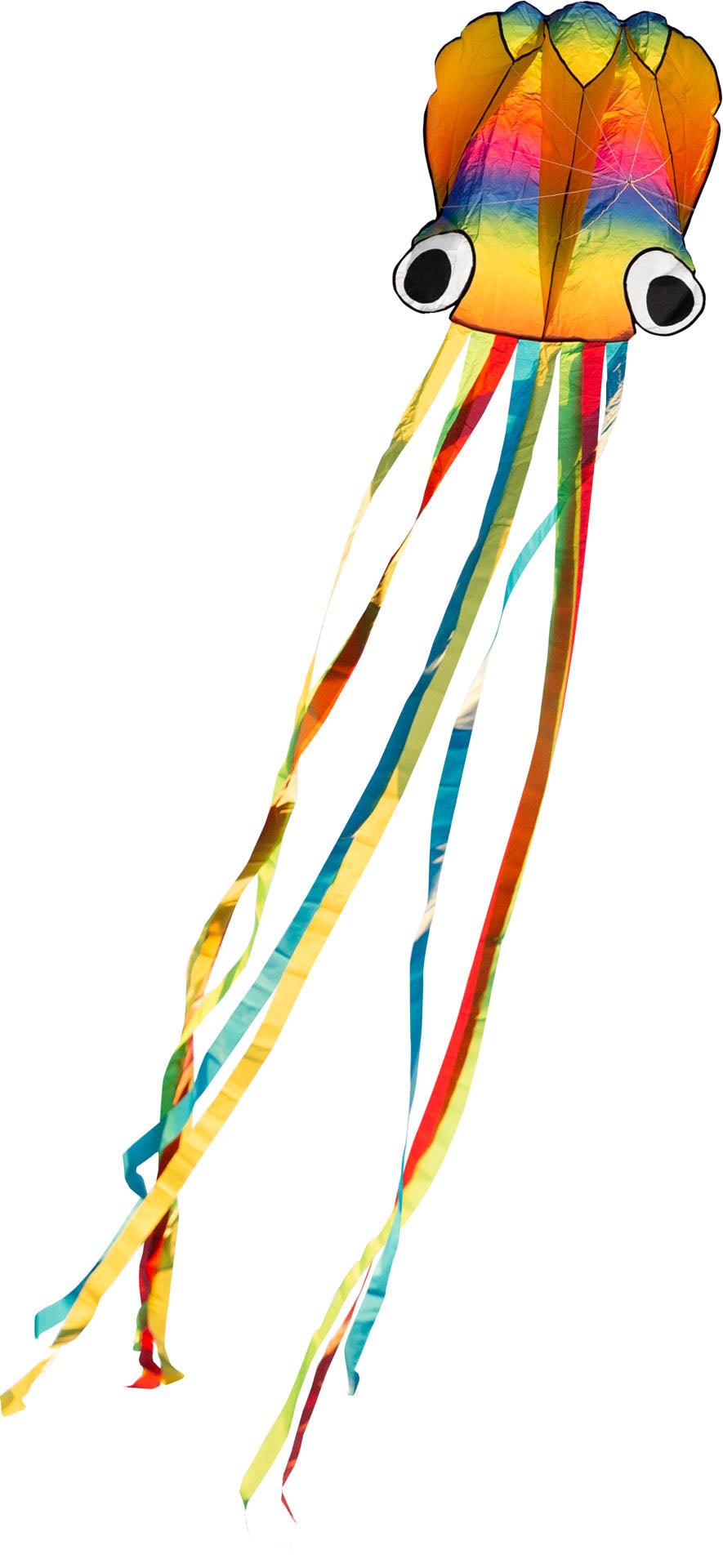 Rainbow Octopus - Picture Pretty KitesRainbow OctopusSingle Line Kites;Single Line Kites/Animal Kites;Single Line Kites/Animal Kites/Sea Life Kites;Brands/HQ KitesHQ106900 /C29Picture Pretty KitesHQ106900 /C2978243553Rainbow Octopus