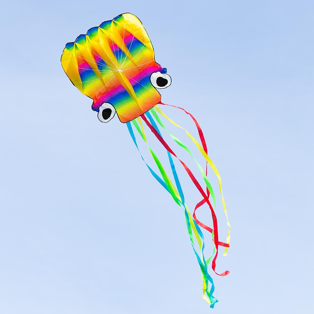 Rainbow Octopus L - Picture Pretty KitesRainbow Octopus LSingle Line Kites;Single Line Kites/Animal Kites;Single Line Kites/Animal Kites/Sea Life Kites;Brands/HQ KitesHQ106901 /C30Picture Pretty KitesHQ106901 /C3078341857Rainbow Octopus L