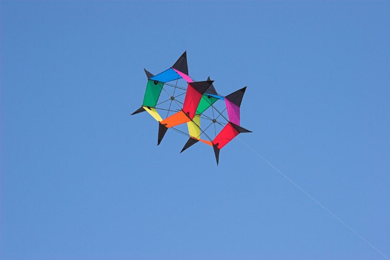 Roto Kite - Picture Pretty KitesRoto KiteSingle Line Kites;Single Line Kites/Cellular \/ Box Kites;Brands/HQ KitesHQ106350 /D8Picture Pretty KitesHQ106350 /D882077409Roto Kite