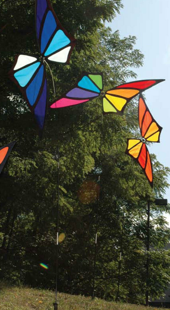 Butterfly (Rainbow)