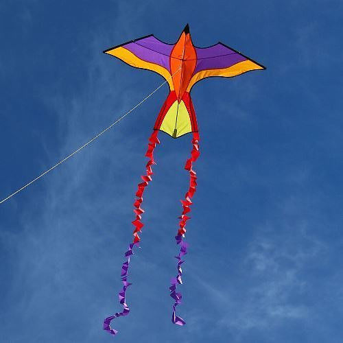 Violet  Parrot