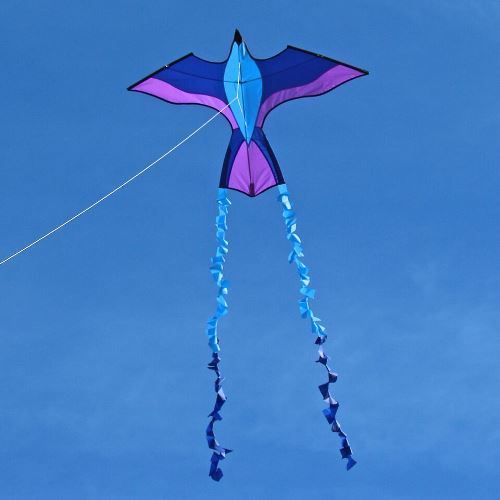 Sapphire Parrot - Picture Pretty KitesSapphire ParrotSingle Line Kites;Single Line Kites/Animal Kites;Single Line Kites/Animal Kites/Bird Kites;Single Line Kites/Specialty Kites;Brands/Into The WindITW5694SapphirePicture Pretty KitesITW5694Sapphire71689953Violet ParrotSapphire Parrot