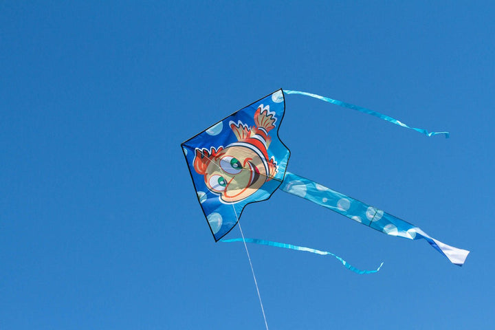 Simple Flyer Jacques - Picture Pretty KitesSimple Flyer JacquesBargain Bin;Brands/HQ KitesHQ102210Picture Pretty KitesHQ10221040003297Simple Flyer Jacques