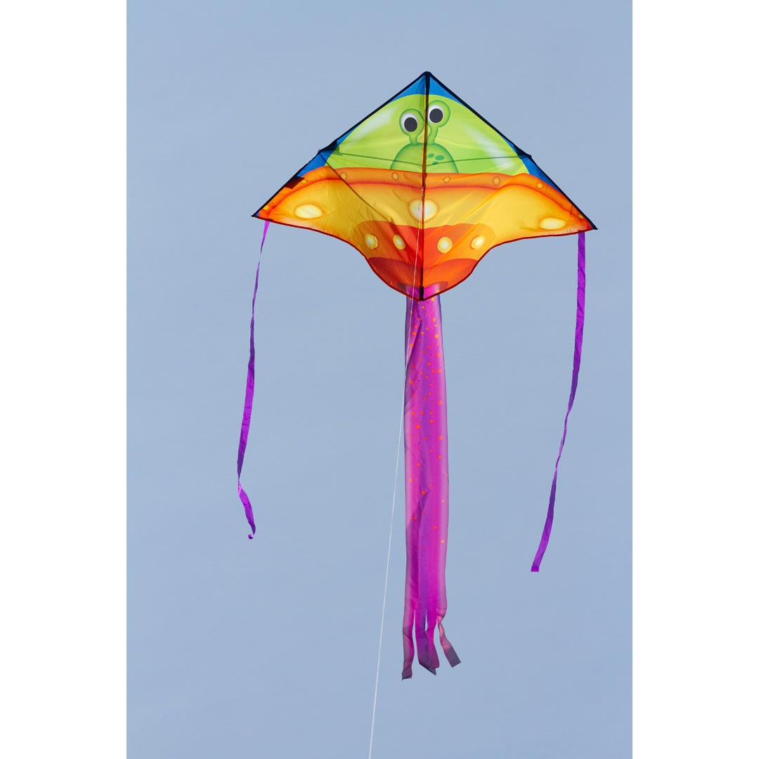 SIMPLE FLYER UFO 120CM 47" - Picture Pretty KitesSIMPLE FLYER UFO 120CM 47"Single Line Kites;Single Line Kites/Delta Kites;Brands/HQ Kites;Featured Products;Featured Products/Featured ProductsHQ102155Picture Pretty KitesHQ10215583257057SIMPLE FLYER UFO 120CM 47"