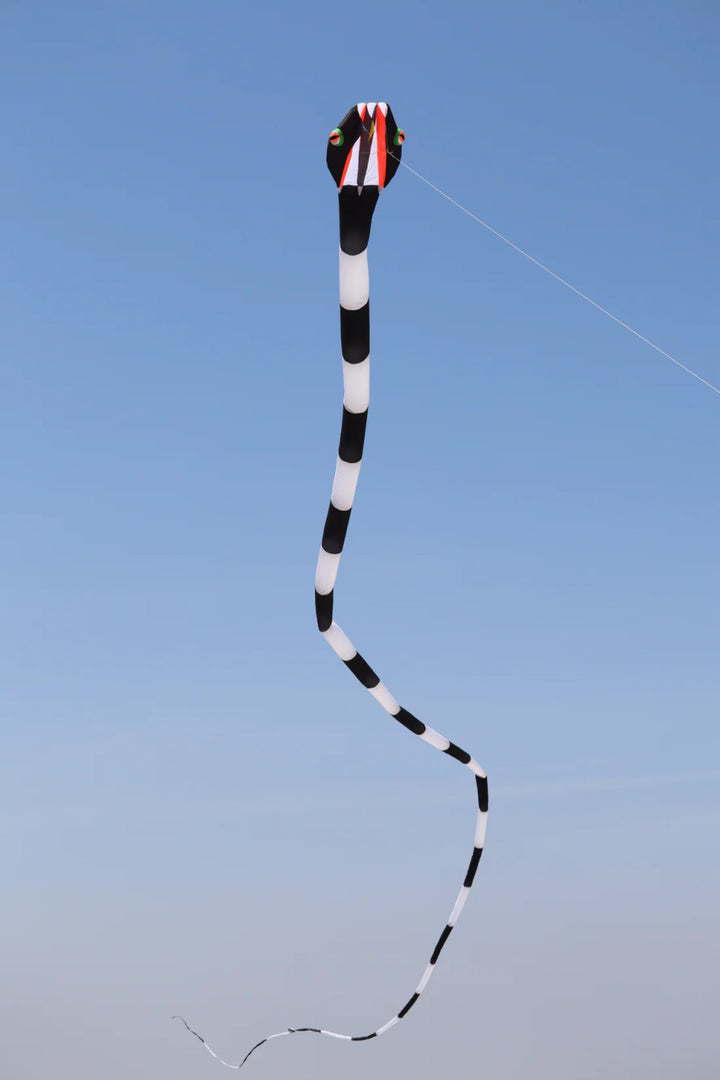 180' Inflatable Snake Kite - Black/White