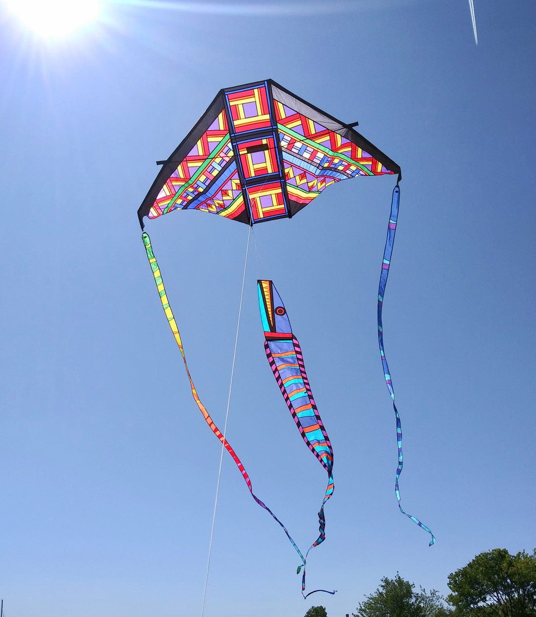 Strata Delta - Tortuga Rainbow - Picture Pretty KitesStrata Delta - Tortuga RainbowSingle Line Kites;Single Line Kites/Delta Kites;Brands/Premier KitesPR33861Picture Pretty KitesPR3386185649121Strata Delta - Tortuga Rainbow