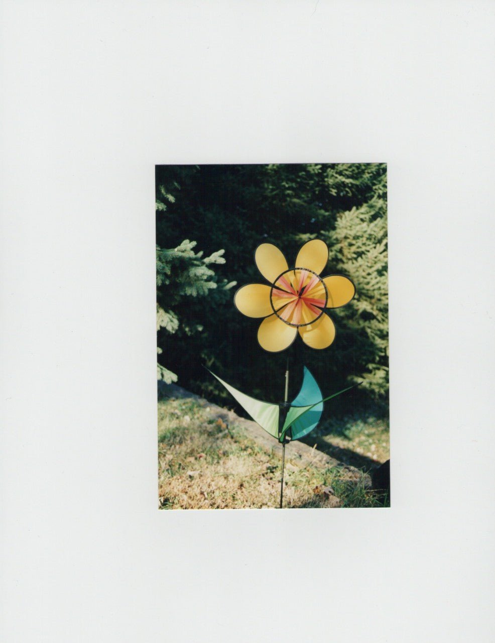 Sunflower - Picture Pretty KitesSunflowerBargain Bin;Brands/Go Fly A KiteGF32009Picture Pretty KitesGF3200939511777Sunflower