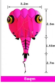 8sqm Tadpole  Inflatable