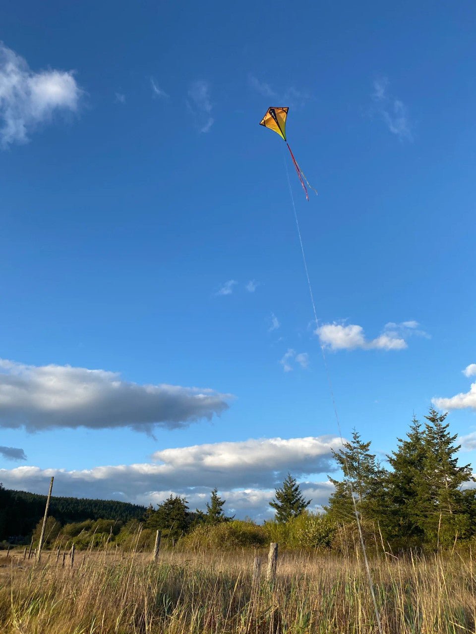 Vertex (3 Color) - Picture Pretty KitesVertex (3 Color)Single Line Kites;Single Line Kites/Diamond Kites;Single Line Kites/Specialty Kites;Starter Kites;Brands/Prism Kites29724Picture Pretty Kites29724753677297241AuroraVertex (3 Color)